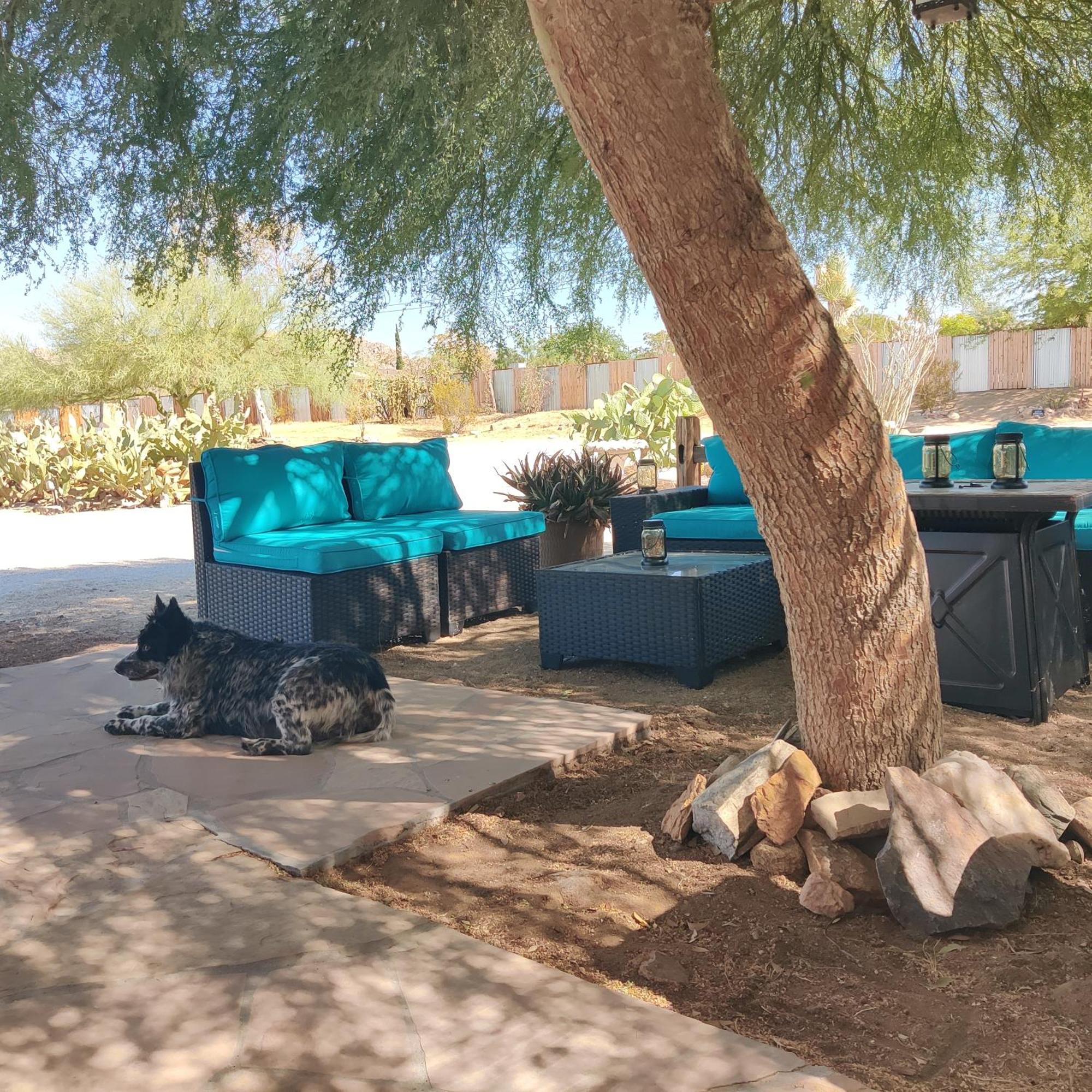 Joshua Tree Ranch House Motel - Downtown - Room #4 Экстерьер фото